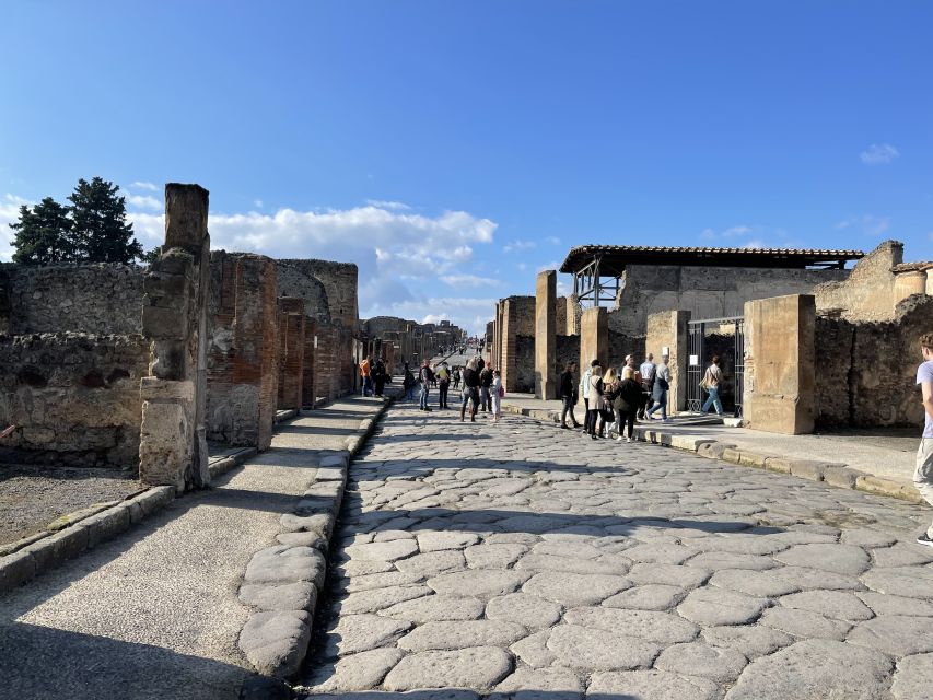 From Naples: Pompeii Guided Tour with Skip-the-Line Tickets - Entering Pompeii without the regular ticket line