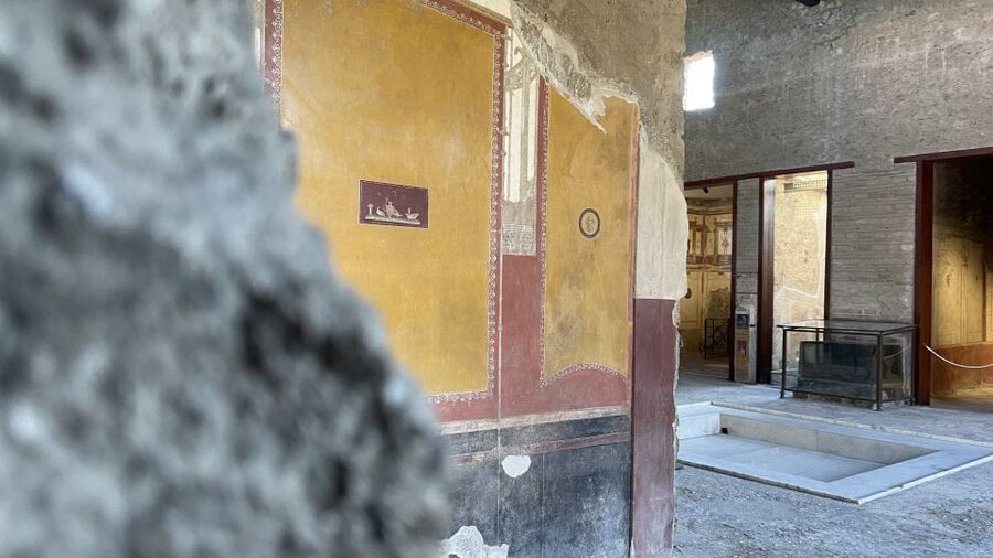 From Naples: Pompeii Guided Tour with Skip-the-Line Tickets - From Naples to the Pompeii entrance