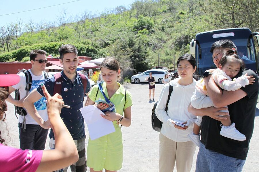 From Naples: Pompeii, Herculaneum, & Vesuvius Full-Day Tour - Pompeii requires careful choices