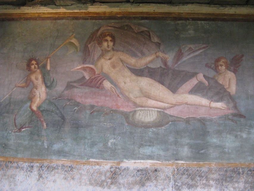 From Naples: Pompeii & Mount Vesuvius Full-Day Private Tour - Language and guide arrangements