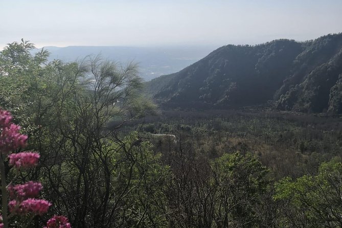 From Naples: Pompeii & Mount Vesuvius Full-Day Tour with Lunch - The climb at Mount Vesuvius