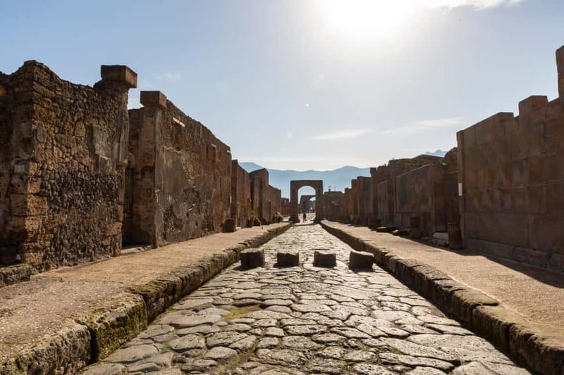 From Naples: Pompeii Private Tour with Transfer and Guide - The Forum and Pompeii’s public heart
