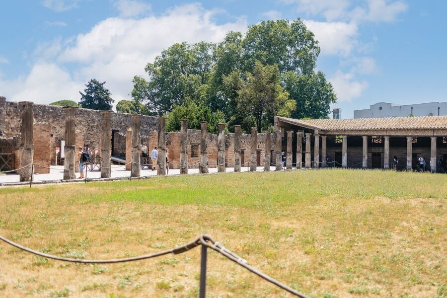 From Naples: Pompeii Ruins & Mount Vesuvius Day Tour - Transport, timing, and the real value of $120.84