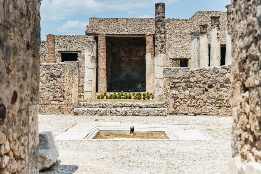 From Naples: Pompeii Ruins & Mount Vesuvius Day Tour - What the day feels like in practice