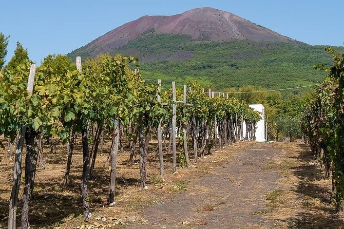 From Naples: Pompeii & Wine Tasting" Private Day Tour - Why the private format matters in Naples