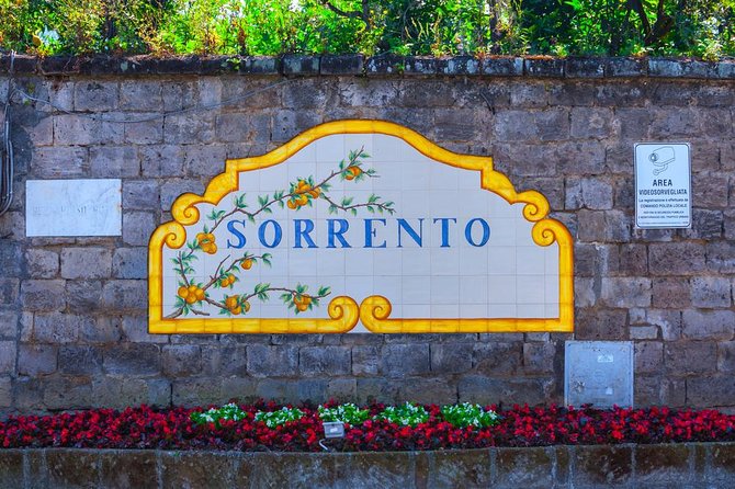 From Naples Port: Sorrento & Pompeii With Limoncello Tasting - Two famous stops, one tight port-day schedule