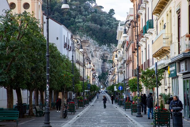 From Naples: Private Tour Pompei and Sorrento with lunch - What the private format changes