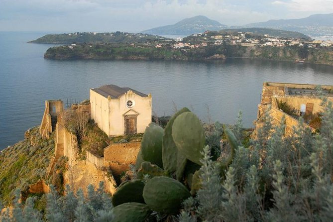 From Naples: Procida Island Day Trip with Lunch - Meeting the host at 8:00 am in Naples