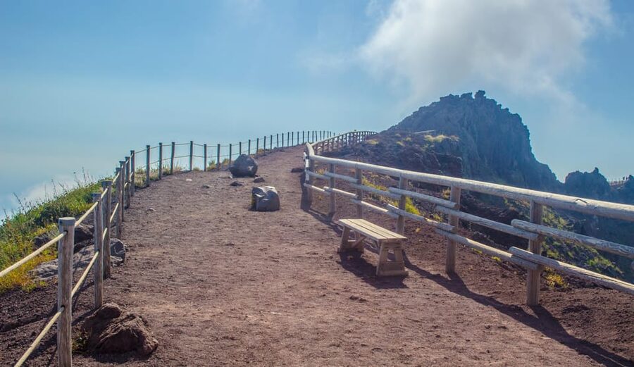 From Naples: Vesuvius and Herculaneum Day Trip with Tickets - Two volcanic stories in one day