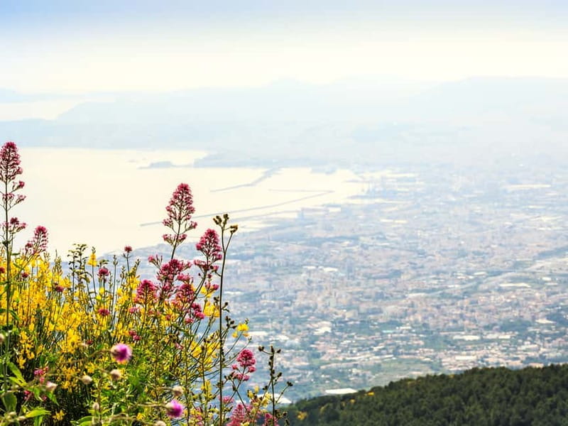 From Naples: Vesuvius Easy Tour - Why this Vesuvius trip works from Naples