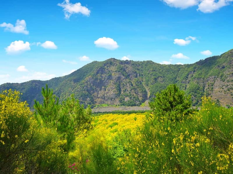 From Naples: Vesuvius Easy Tour - What you see from the Great Cone