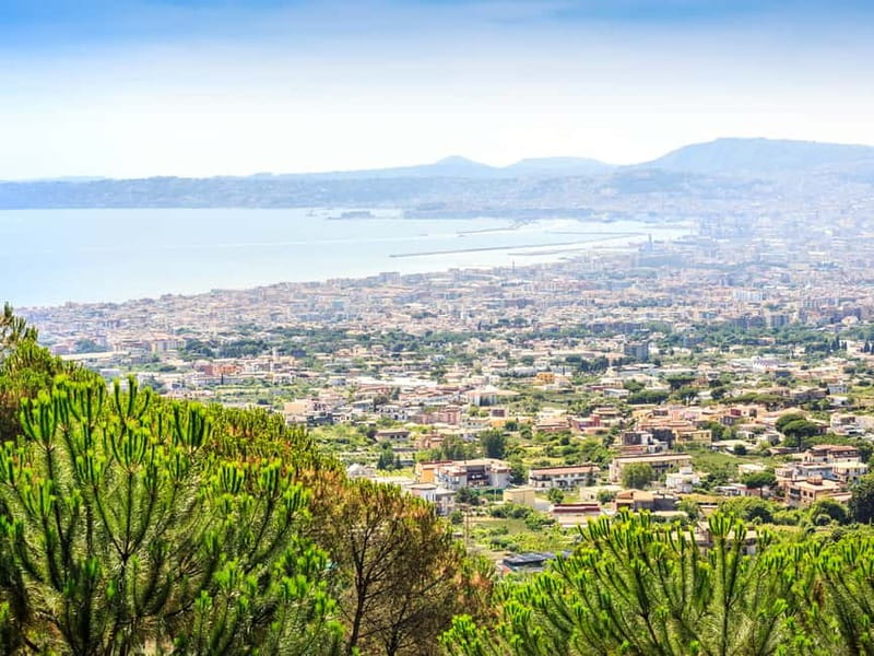 From Naples: Vesuvius Easy Tour - Why the skip-the-line ticket has value