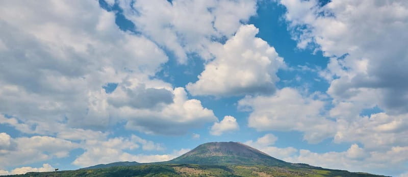 From Naples: Vesuvius Easy Tour - Who should book the Easy Tour
