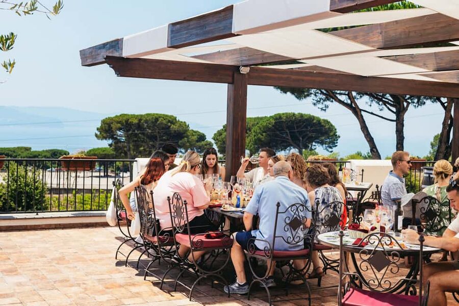 From Naples: Wine Tasting Tour on Vesuvius Slopes with Lunch - Why Vesuvius makes unusual wine