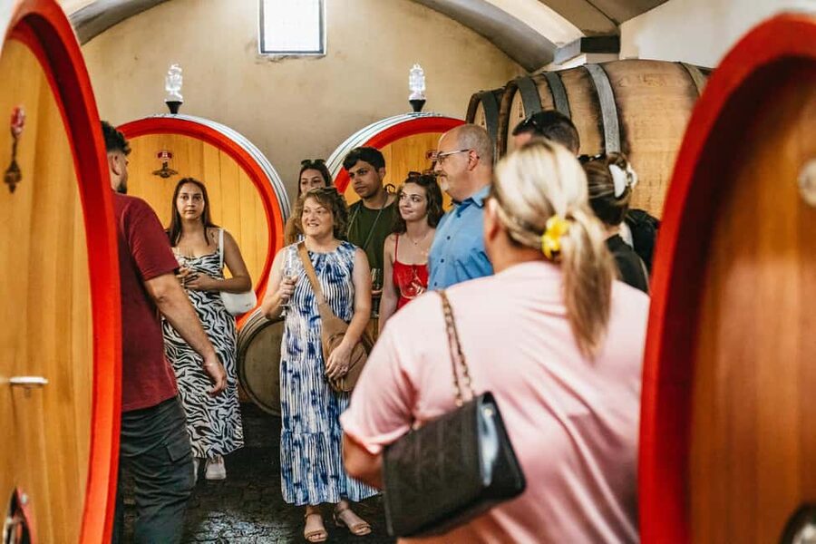 From Naples: Wine Tasting Tour on Vesuvius Slopes with Lunch - The wine tasting: an introduction to Campania in a glass
