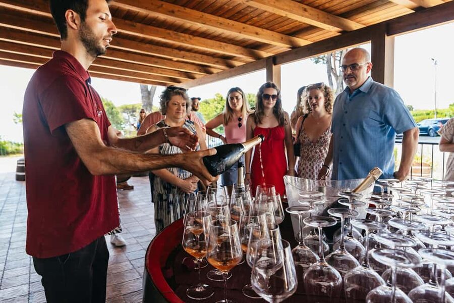 From Naples: Wine Tasting Tour on Vesuvius Slopes with Lunch - Time to browse the farm shop