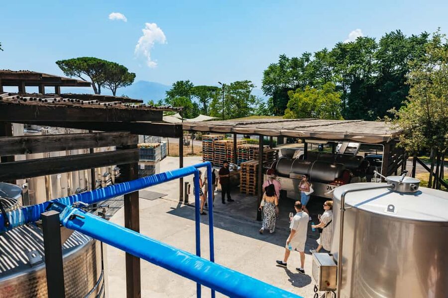 From Naples: Wine Tasting Tour on Vesuvius Slopes with Lunch - Who will enjoy this tour most