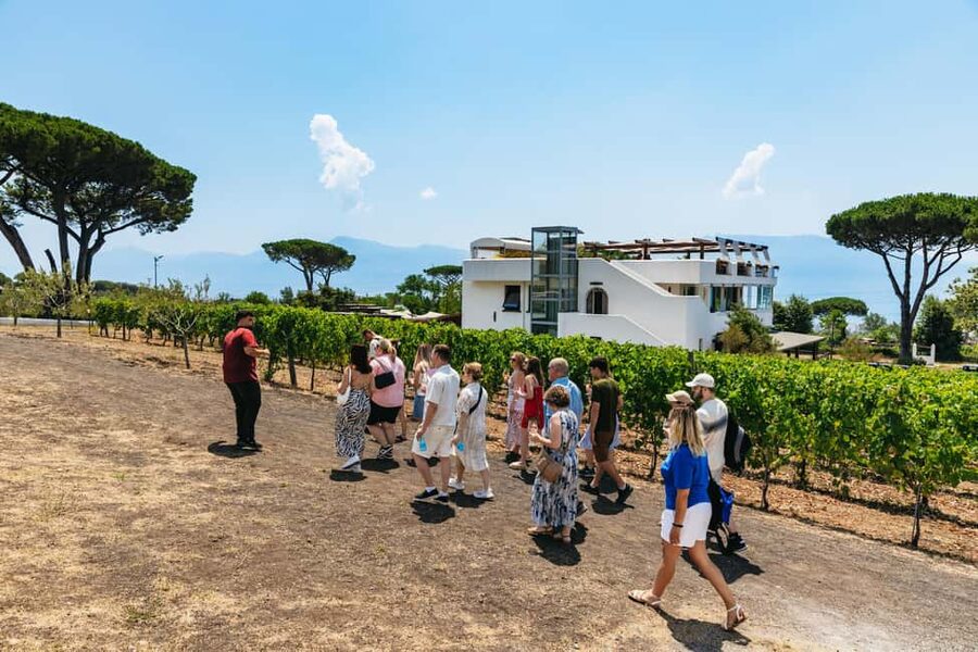 From Naples: Wine Tasting Tour on Vesuvius Slopes with Lunch - Should you book the Vesuvius wine tour?