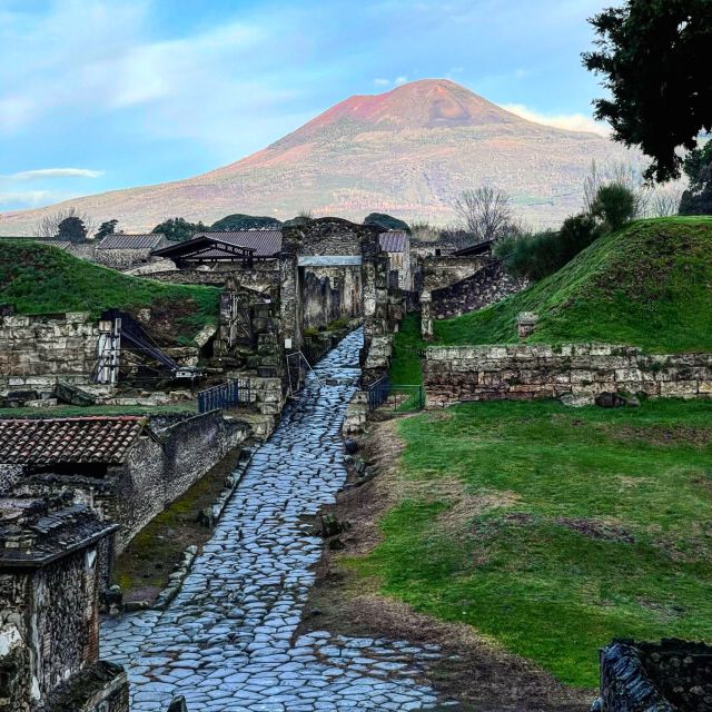 From Positano: Pompeii and Vesuvius Guided Tour - The Mount Vesuvius walk from 1,000 meters