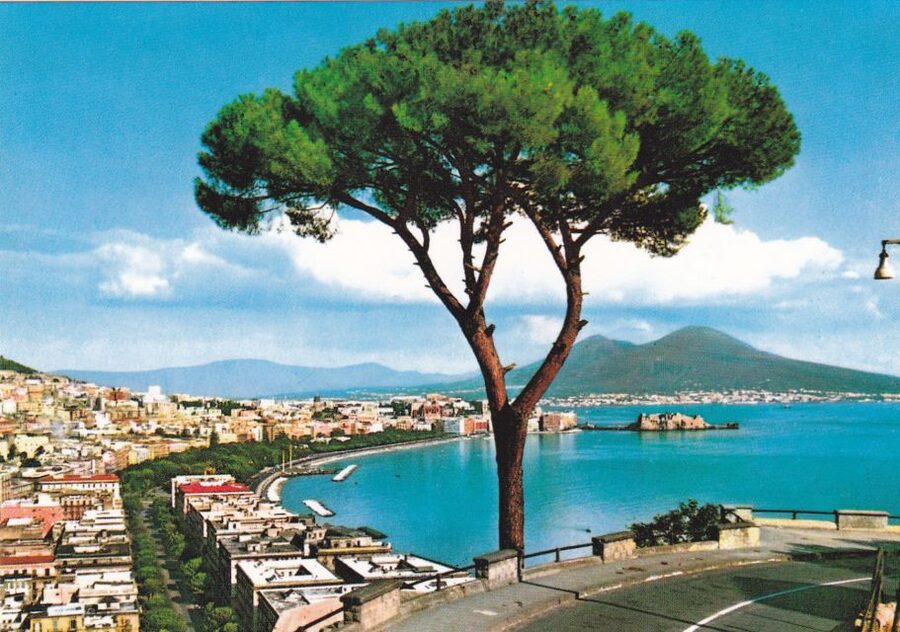 From Rome: Full Day Pompeii and Naples Tour - Reading Pompeii through its streets and buildings