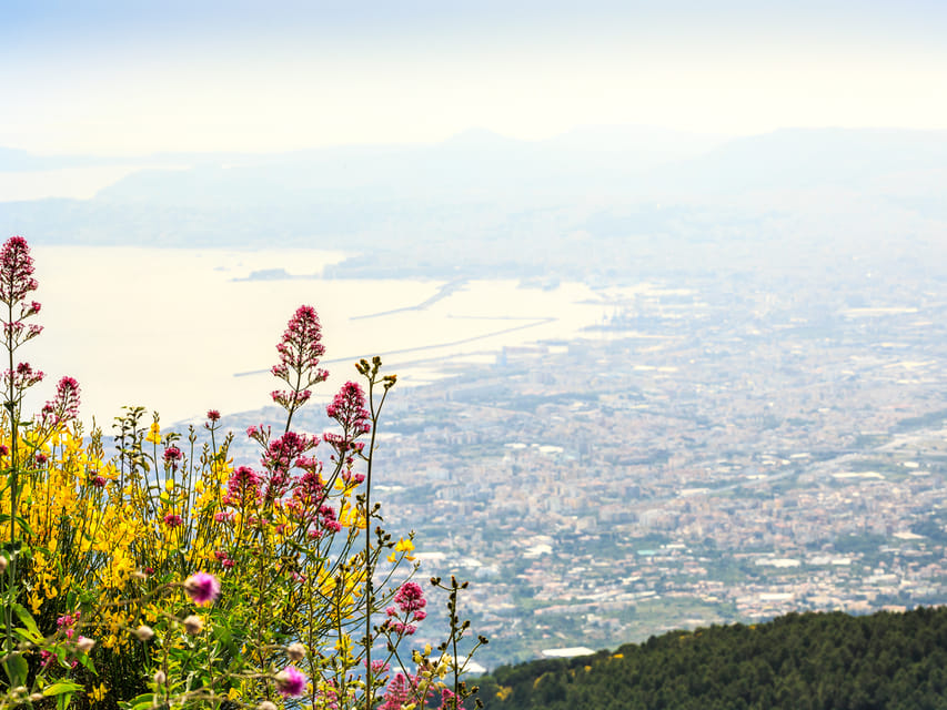 From Salerno: Mount Vesuvius and Pompeii Ruins Day Trip - What the $124.61 price includes