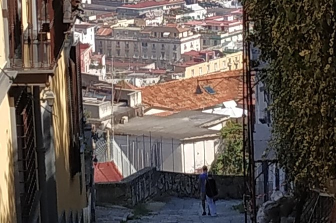 From the Charterhouse to the historic Naples market - The Pedamentina view after the museum