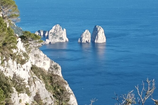 Full-Day Private Capri, Anacapri and Blue Grotto Tour from Naples - Marina Grande and the ferry back to Naples