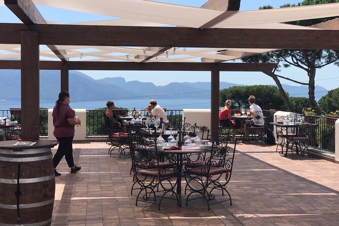 Full Day Private Tour in Pompeii, Vesuvio and Sorrento - What the private guide adds