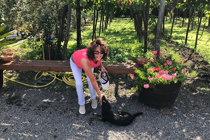 Full Day Private Tour in Pompeii, Vesuvio and Sorrento - Should you book this Pompeii and Sorrento tour?