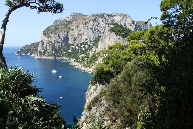 Full-Day Tour of the Amalfi Coast and Pompeii from Naples - Key details before you book