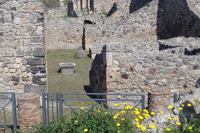 Full Day Tour Pompeii–Sorrento -Positano - Sorrento for a relaxed coastal pause