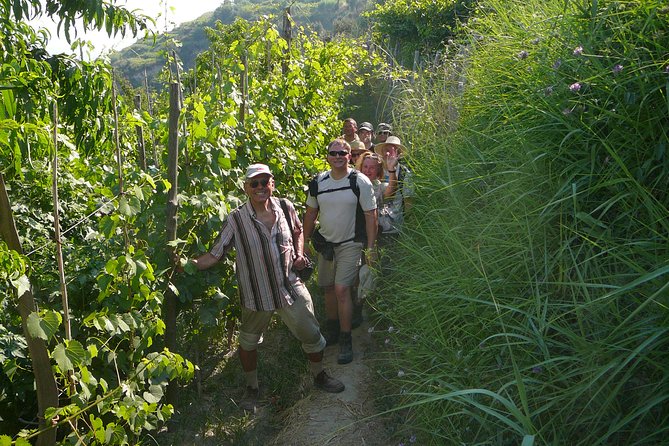 Half-day east coast hike in Ischia island with pick-up - San Pancrazio and the open Bay of Naples