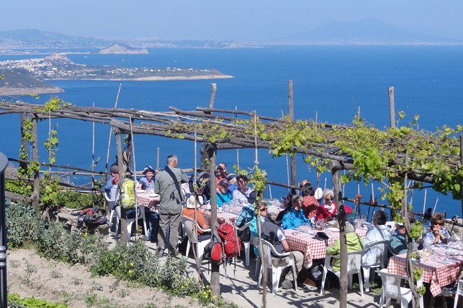 Half-day east coast hike in Ischia island with pick-up - Vineyards, orchards, and the hollow path