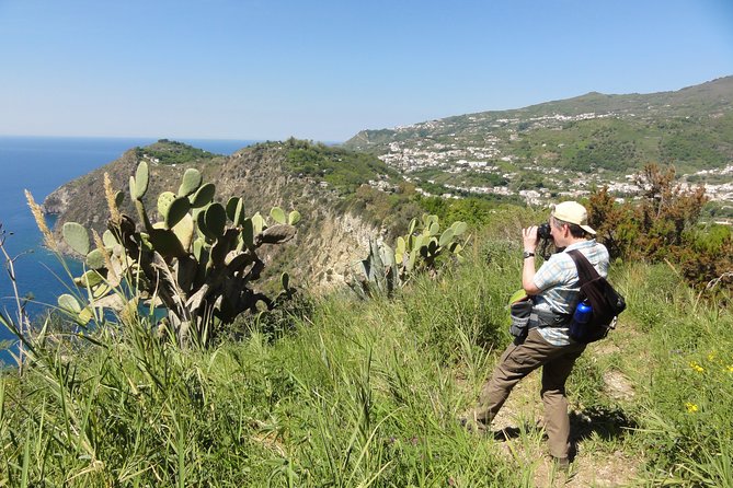 Half-day east coast hike in Ischia island with pick-up - Piano Liguori, an old wine region without cars