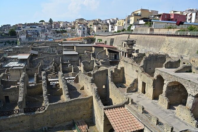 Half Day Excursion to Herculaneum from Naples with Lunch - What your hour at Herculaneum looks like