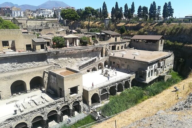 Half Day Excursion to Herculaneum from Naples with Lunch - Who will enjoy this excursion most?