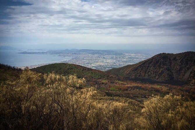 Half-Day Vesuvius Drive and Summit Hike from Naples with Lunch - The crater trail: short, steep, and worth preparing for