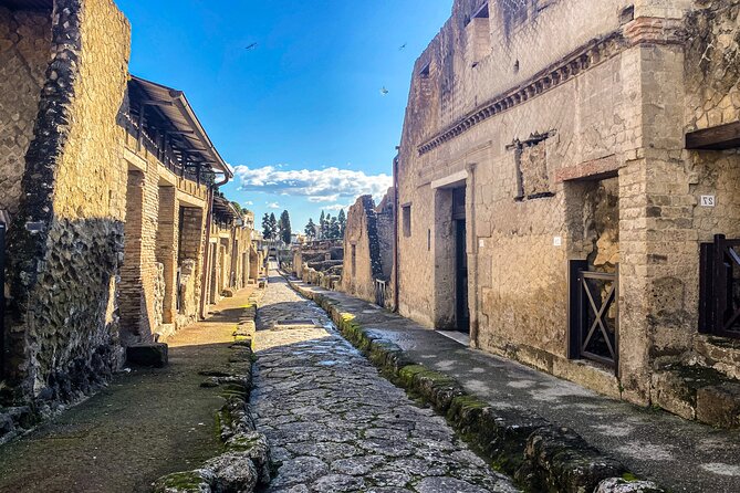 Herculaneum 3D Skip the line Walking Tour - What the AR glasses actually add