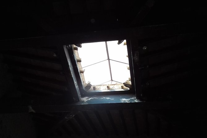 Herculaneum and the Amalfi Coast(Sorrento-Positano) - Small details that can shape the day