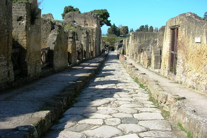 Herculaneum Guided Group Tour from Naples - Why Herculaneum makes a fine Naples half-day