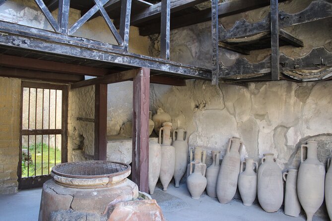 Herculaneum Private Guided Tour Led by a Local Top-rated Guide - All inclusive - Thermal Baths and the practical side of Roman life