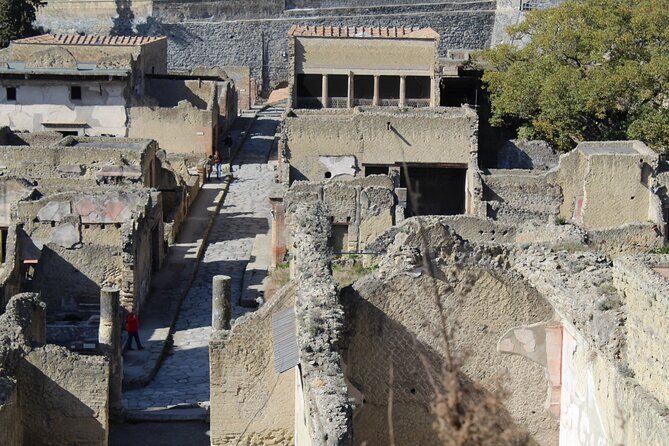 Herculaneum Private Guided Tour Led by a Local Top-rated Guide - All inclusive - House of Neptune and Amphitrite: mosaics worth slowing down for