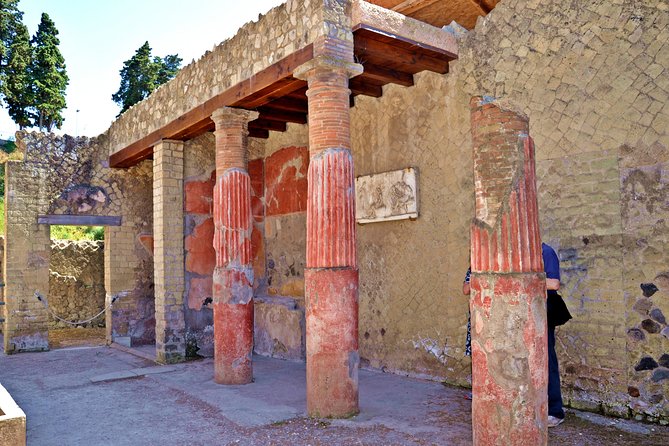 Herculaneum Private Tour with an Archaeologist - Practical details that affect your day