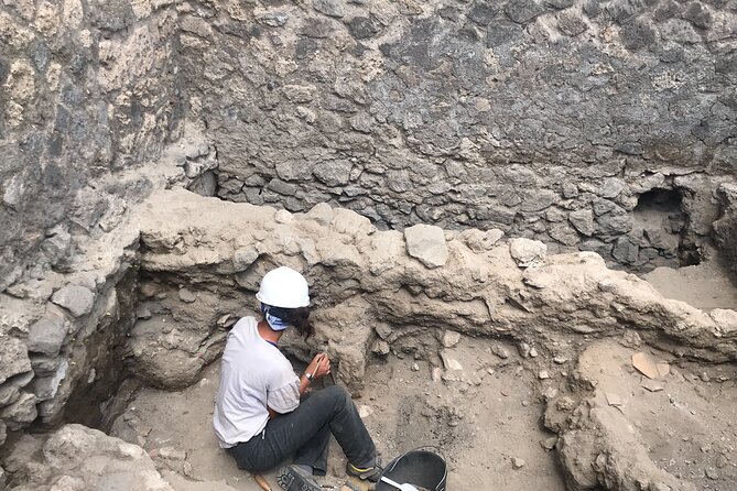 Herculaneum Private Tour with an Archaeologist - The College of the Augustales