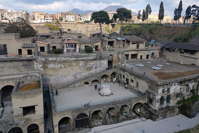 Herculaneum Private Tour with an Expert Archaeologist - Key points to know before you book