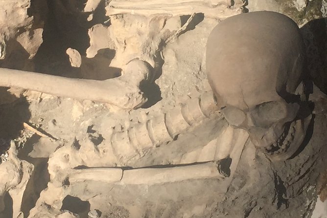 Herculaneum Private Walking Guided Tour 2 hours - Meeting at Ercolano Scavi at 9:00 am