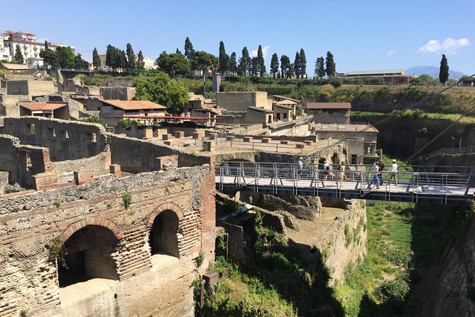 Herculaneum Private Walking Guided Tour 2 hours - Booking Details and Cancellation