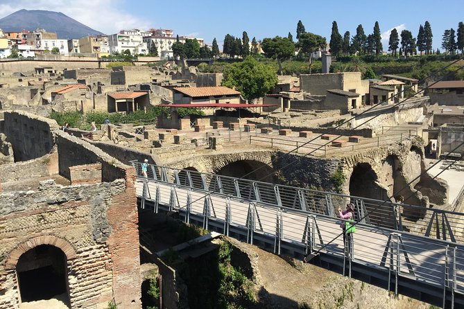 Herculaneum Private Walking Guided Tour 2 hours - Inside the Roman Homes