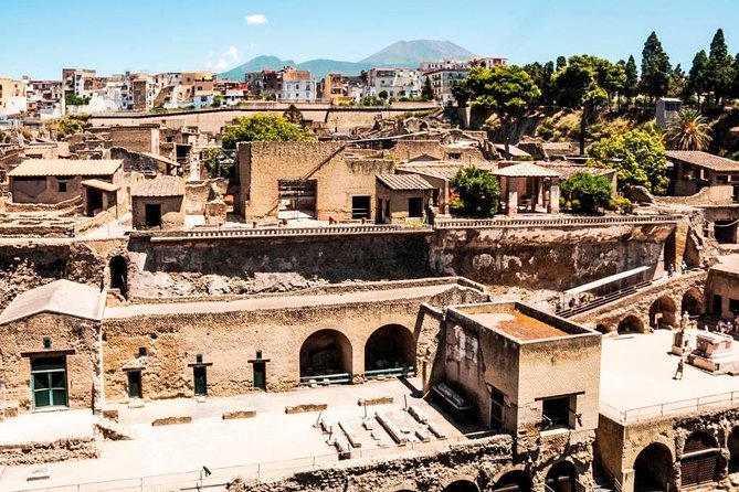 Herculaneum Ruins Private Half-Day Tour - Key points at a glance