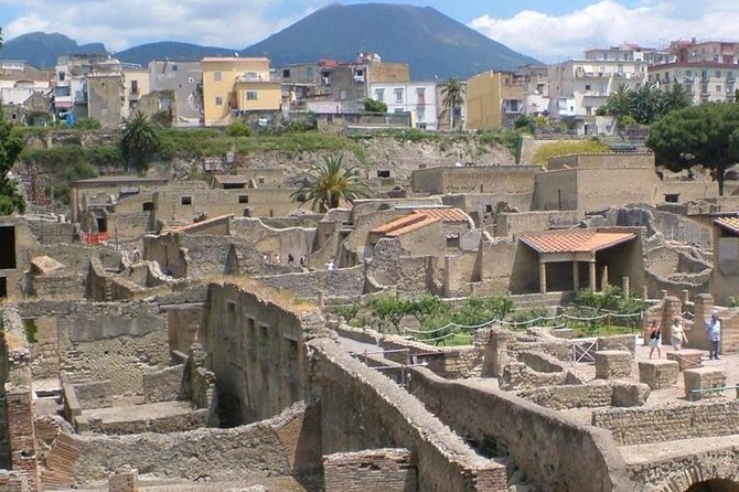 Herculaneum Ruins Private Half-Day Tour - What makes Herculaneum different from Pompeii